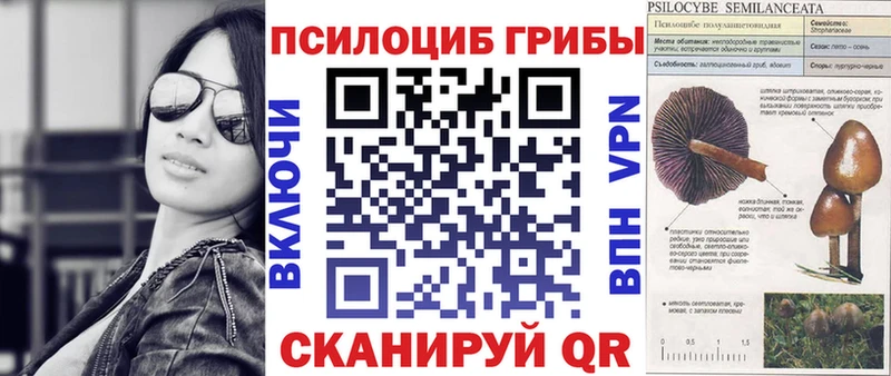 Псилоцибиновые грибы GOLDEN TEACHER  что такое наркотик  Щёлкино 