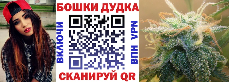 Канабис план  Щёлкино 